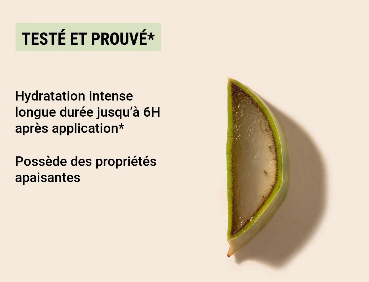 Gel natif d'Aloe Vera BIO – Image 2