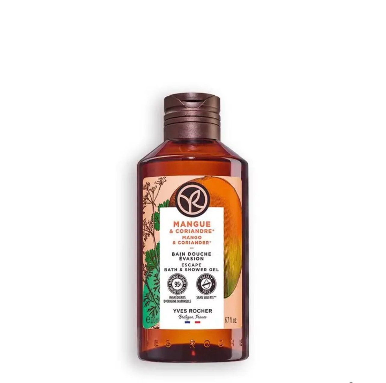 Bain Douche Mangue & Coriandre – Image 2
